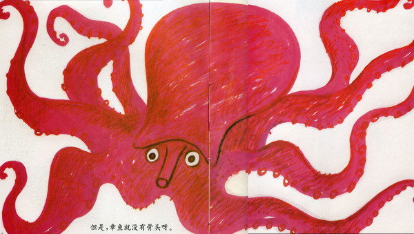 骨头 (05),绘本,绘本故事,绘本阅读,故事书,童书,图画书,课外阅读